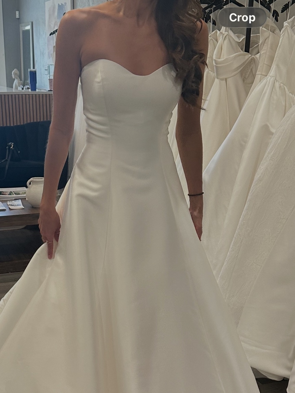 Pronovias Cammi Gown - Picture 2 of 6